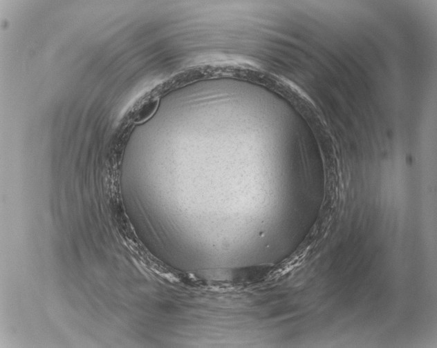 X0000052540775200507221425