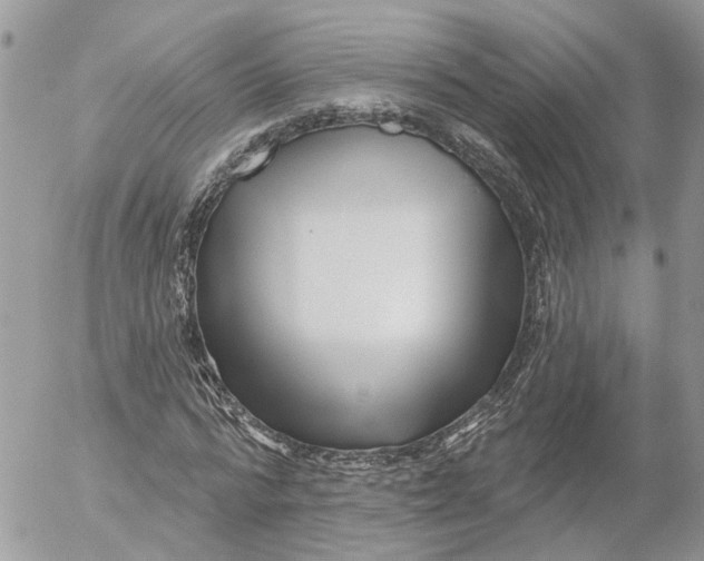 X0000052540776200507221425