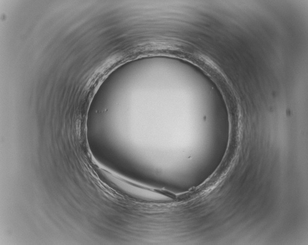 X0000052540777200507221425