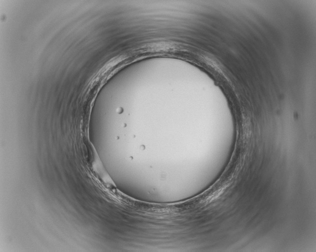 X0000052540778200507221424