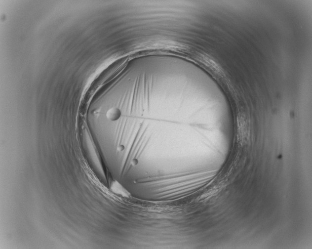 X0000052540780200507221424