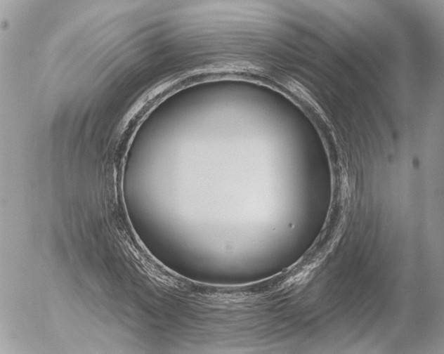 X0000052540781200507221424