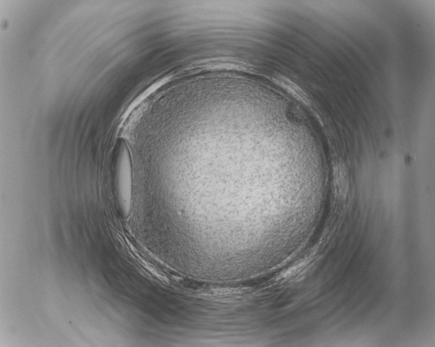 X0000052540782200507221424