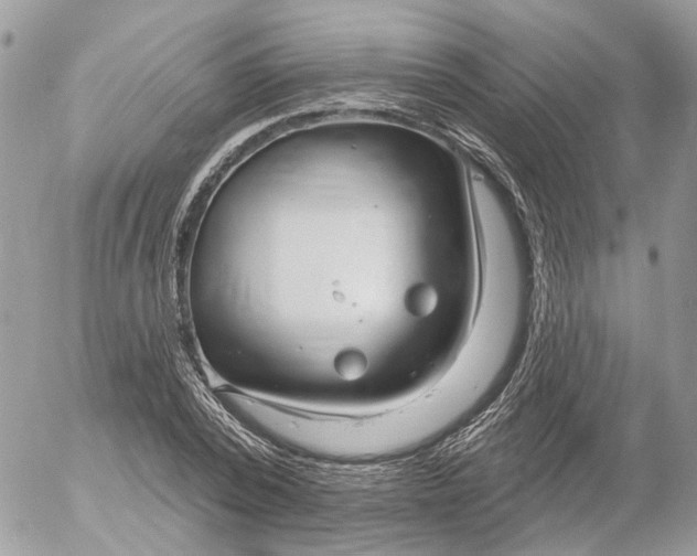 X0000052540784200507221424