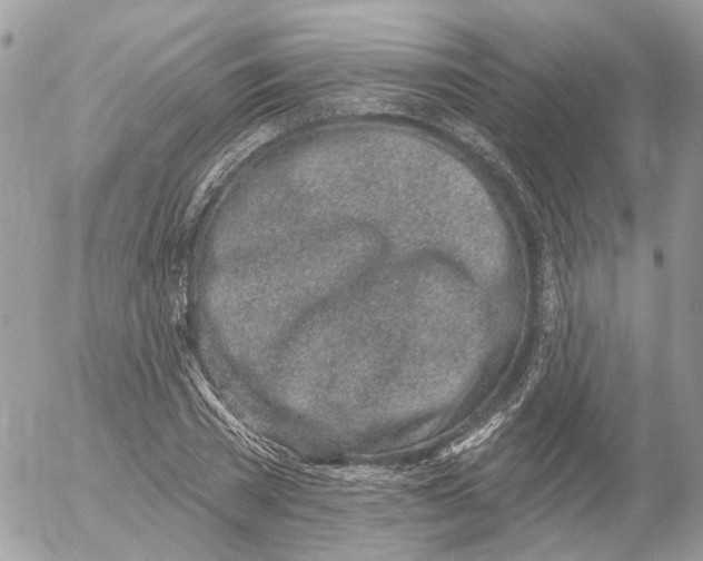 X0000052540785200507221424