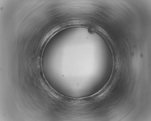 X0000052540786200507221424