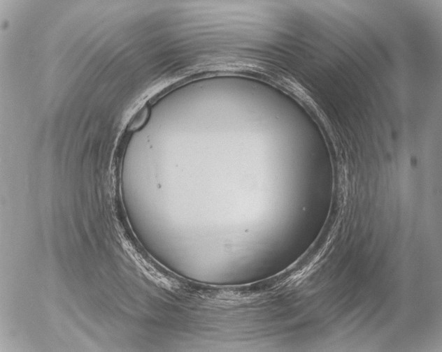 X0000052540787200507221424