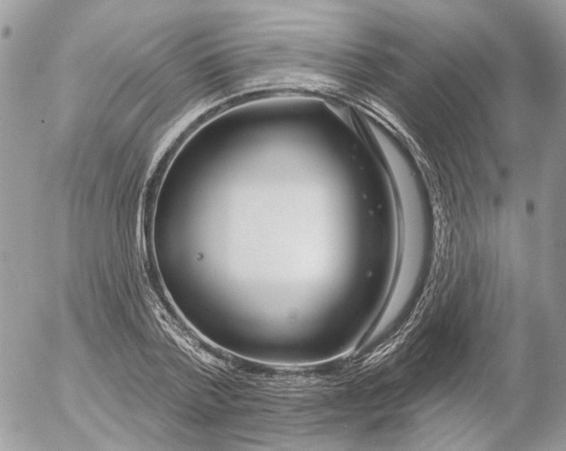 X0000052540788200507221424