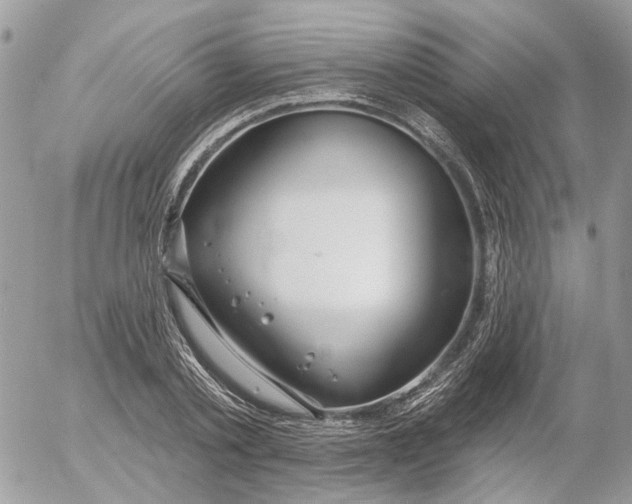 X0000052540789200507221424