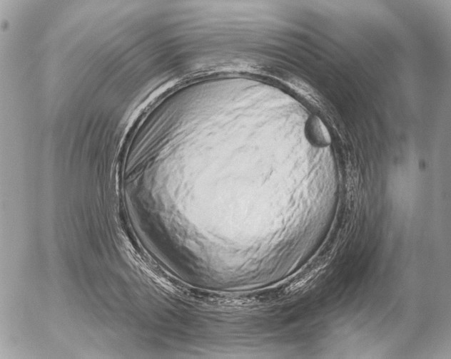 X0000052540790200507221424