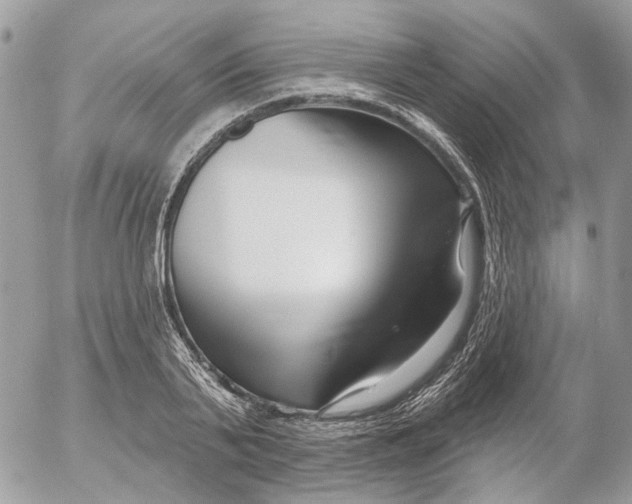 X0000052540791200507221424