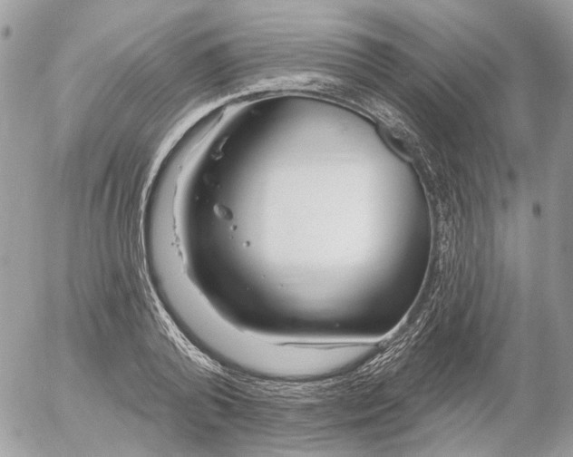 X0000052540792200507221424