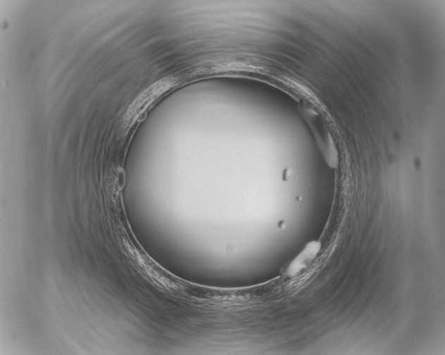 X0000052540793200507221424