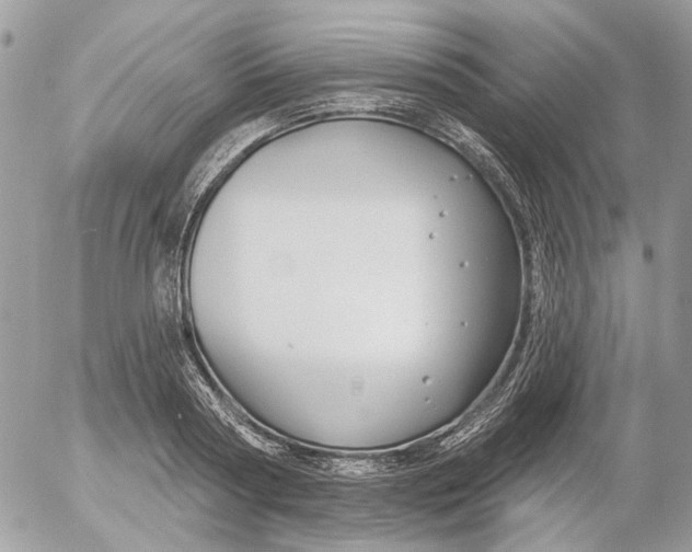 X0000052540794200507221424