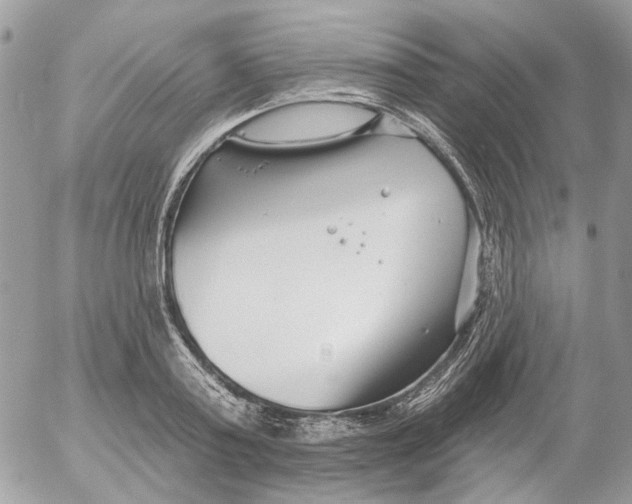 X0000052540795200507221424