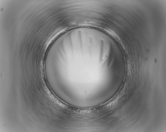 X0000052540798200507221424