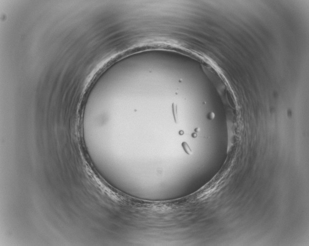 X0000052540799200507221424