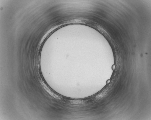 X0000052540800200507221424