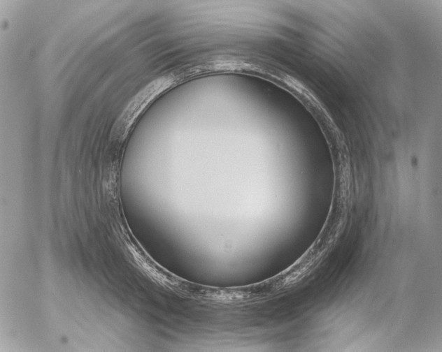 X0000052540801200507221424