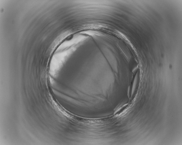 X0000052540802200507221424