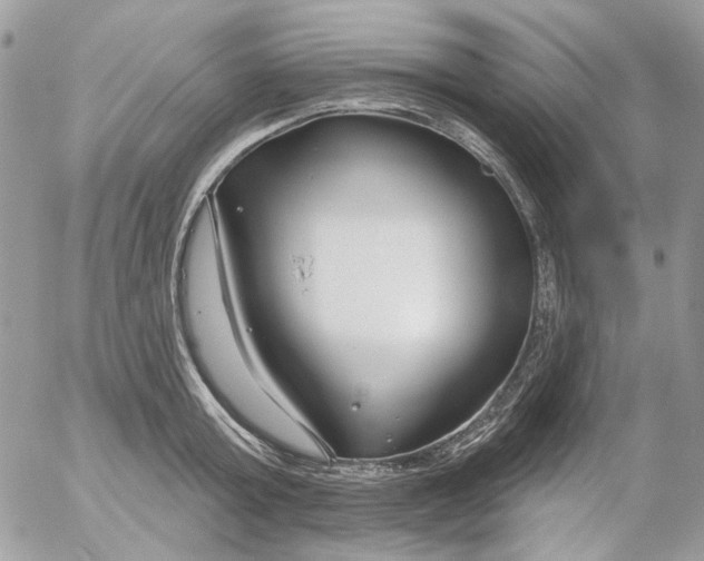 X0000052540803200507221424