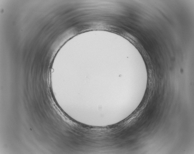 X0000052540804200507221424