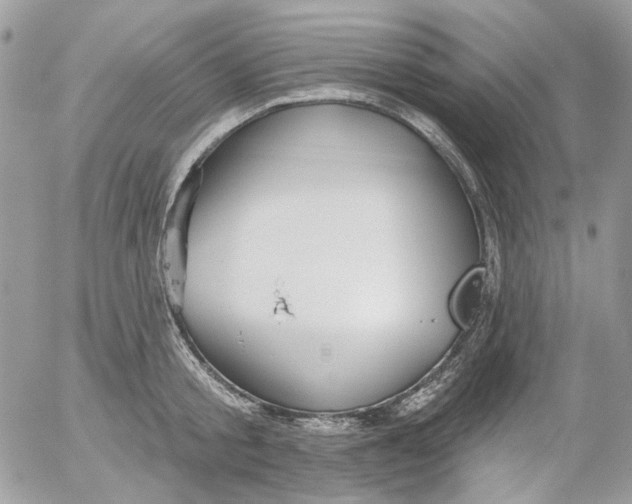 X0000052540805200507221424