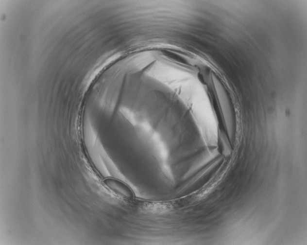 X0000052540806200507221424