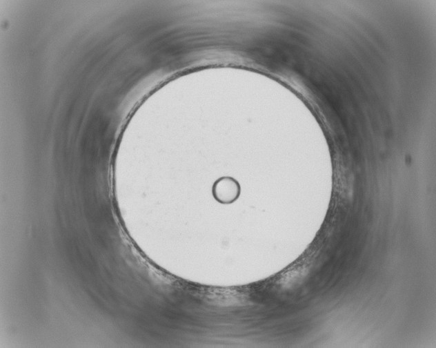 X0000052540807200507221424