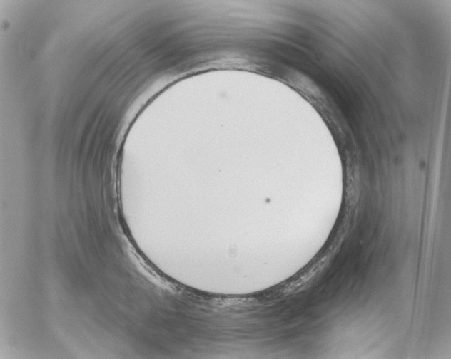 X0000052540808200507221424