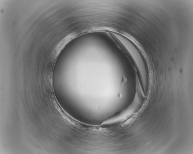 X0000052540809200507221424