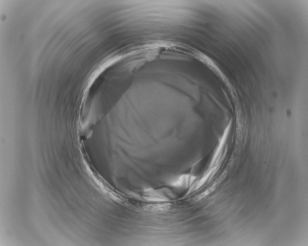 X0000052540810200507221424