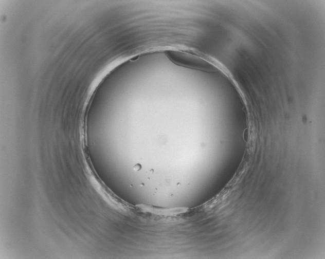 X0000052540811200507221424