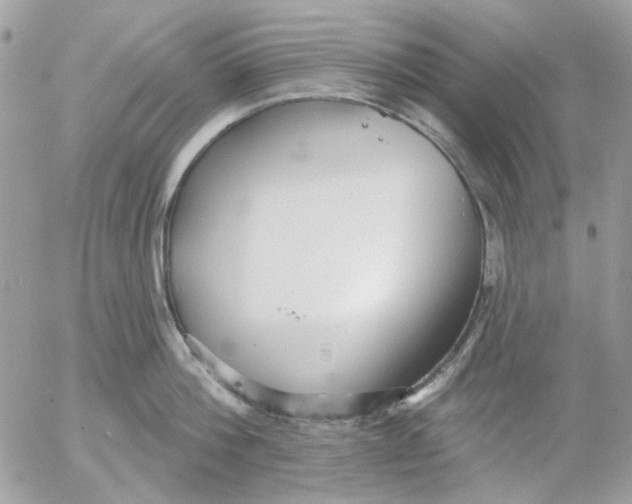 X0000052540812200507221424