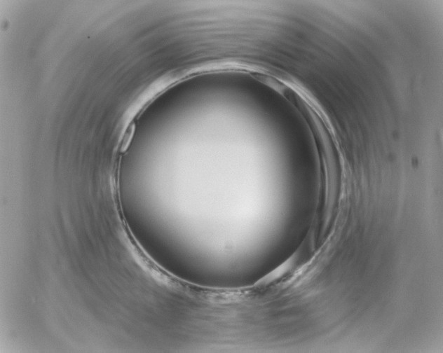 X0000052540813200507221424