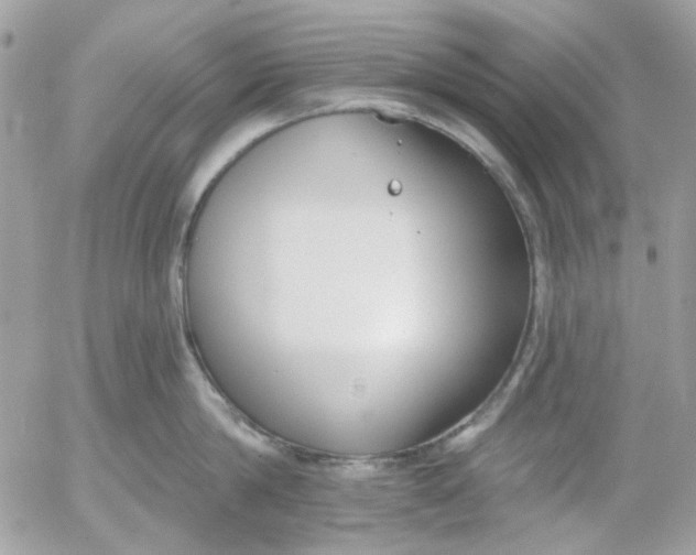 X0000052540814200507221424