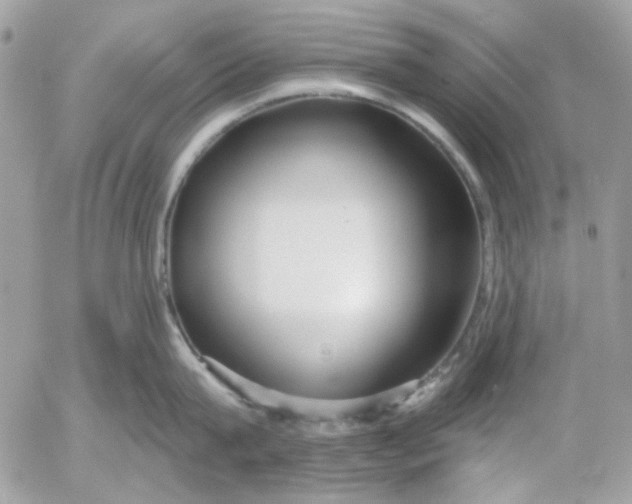 X0000052540815200507221424