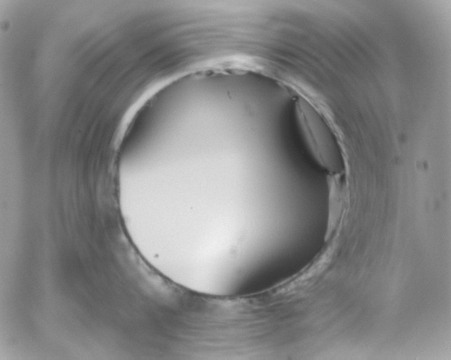 X0000052540816200507221424