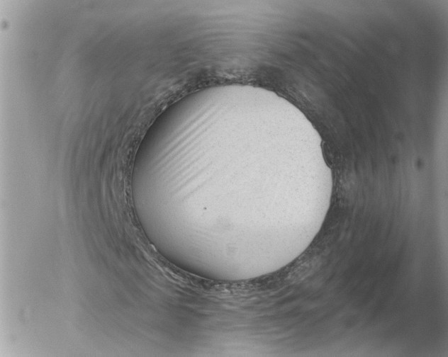 X0000052540817200507221423