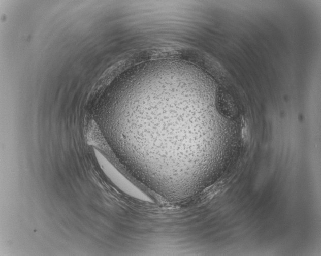 X0000052540819200507221423