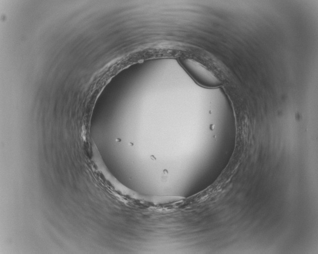 X0000052540821200507221423