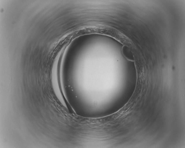 X0000052540822200507221423