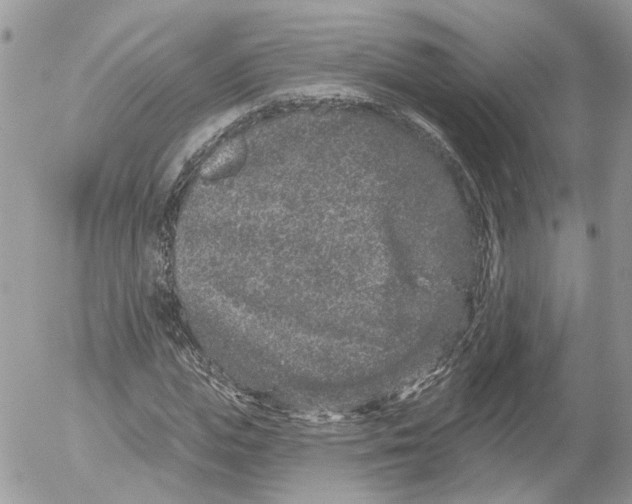 X0000052540823200507221423