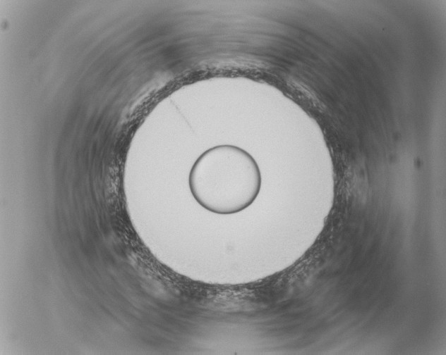 X0000052540824200507221423