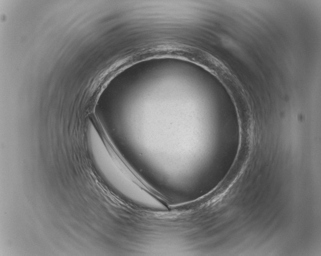 X0000052540825200507221423