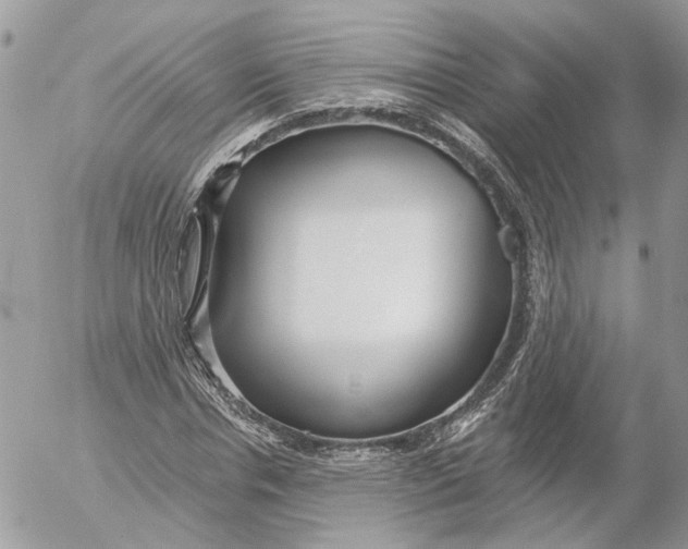 X0000052540826200507221423