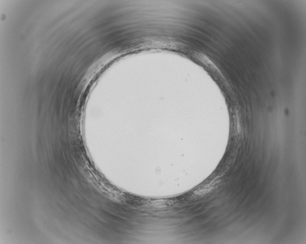 X0000052540828200507221423