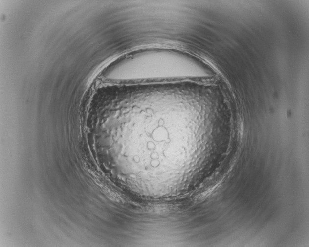 X0000052540829200507221423