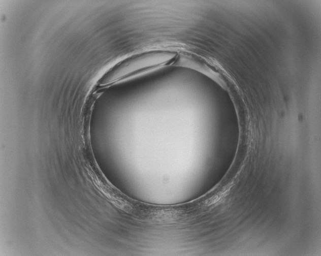 X0000052540830200507221423