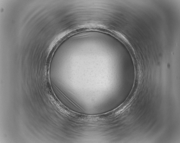 X0000052540831200507221423